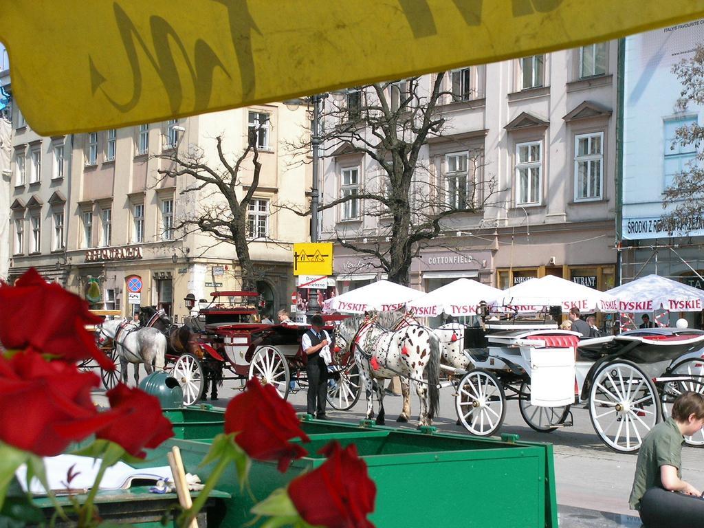 New Sweet One Διαμέρισμα Krasków Δωμάτιο φωτογραφία