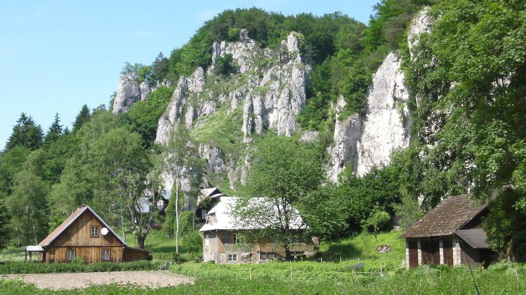 New Sweet One Διαμέρισμα Krasków Δωμάτιο φωτογραφία